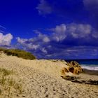 Cottesloe Dunes