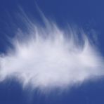 Cotton Cloud