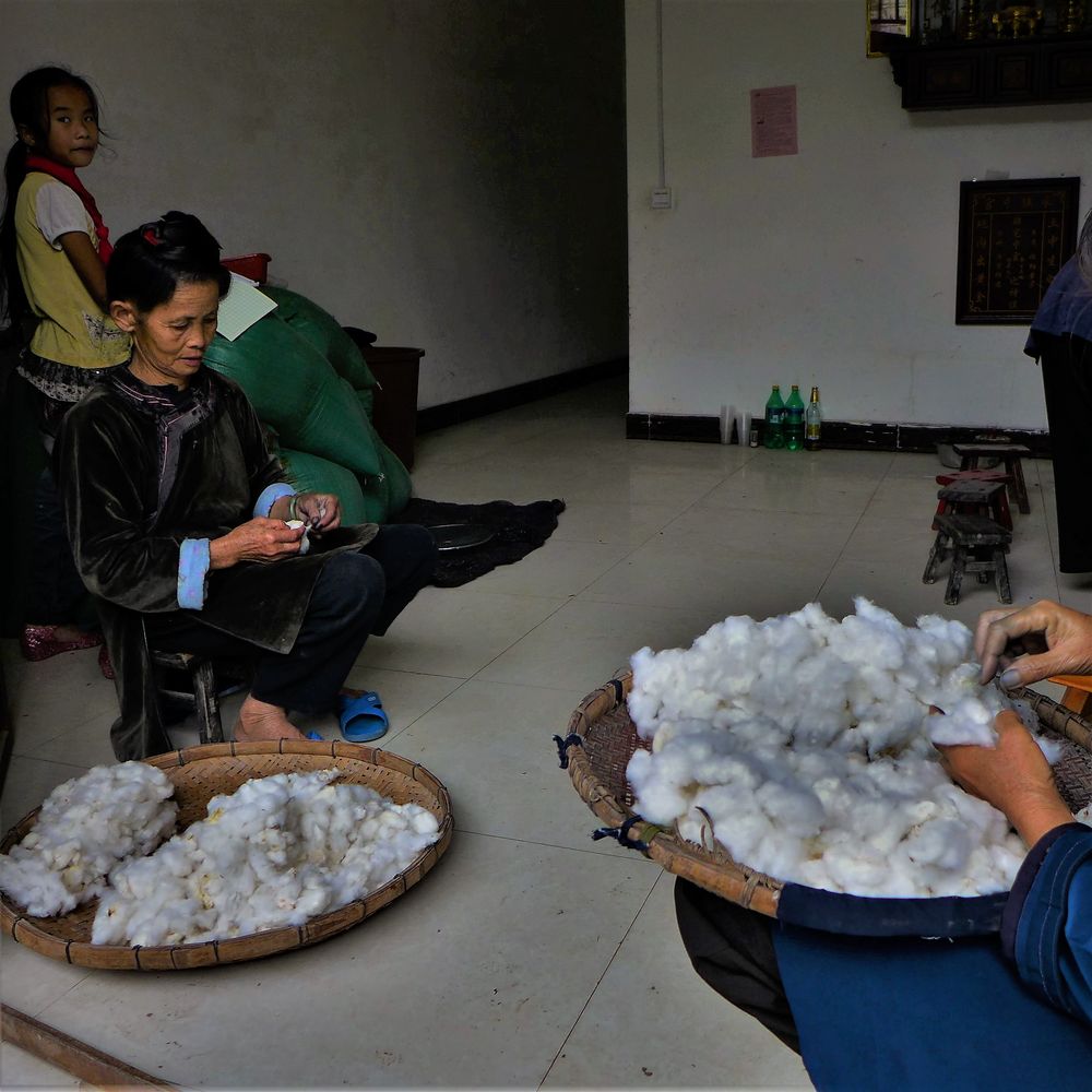 Cotton photo & image asia, china, east asia images at photo community