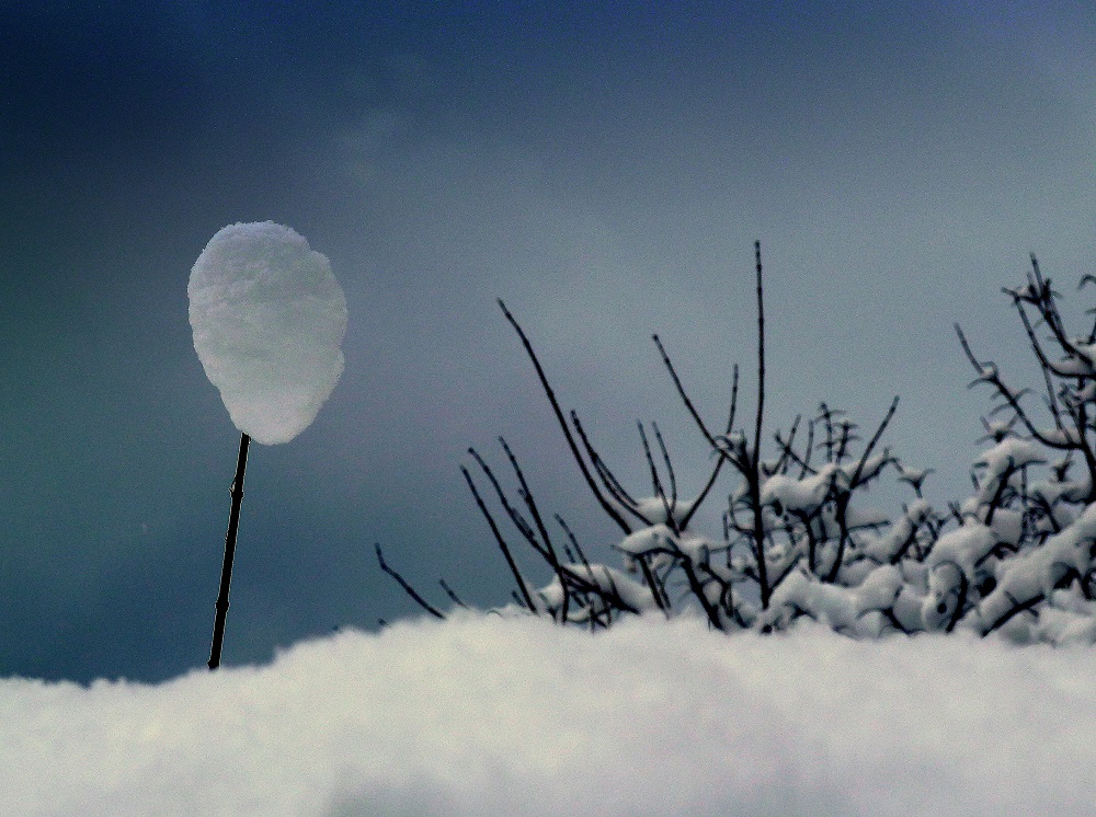 Cotton Snow Foto & Bild jahreszeiten, winter, natur Bilder auf