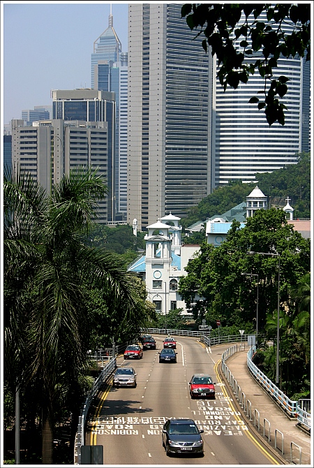 Cotton Tree Drive