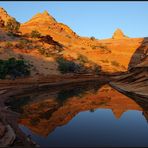 *cottonwood reflections*