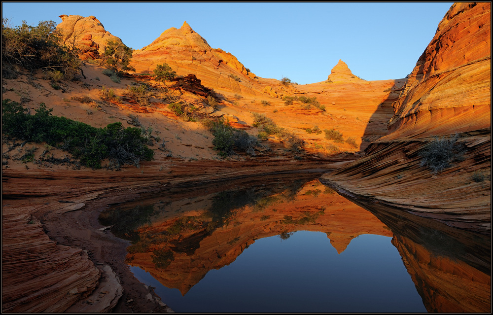 *cottonwood reflections*