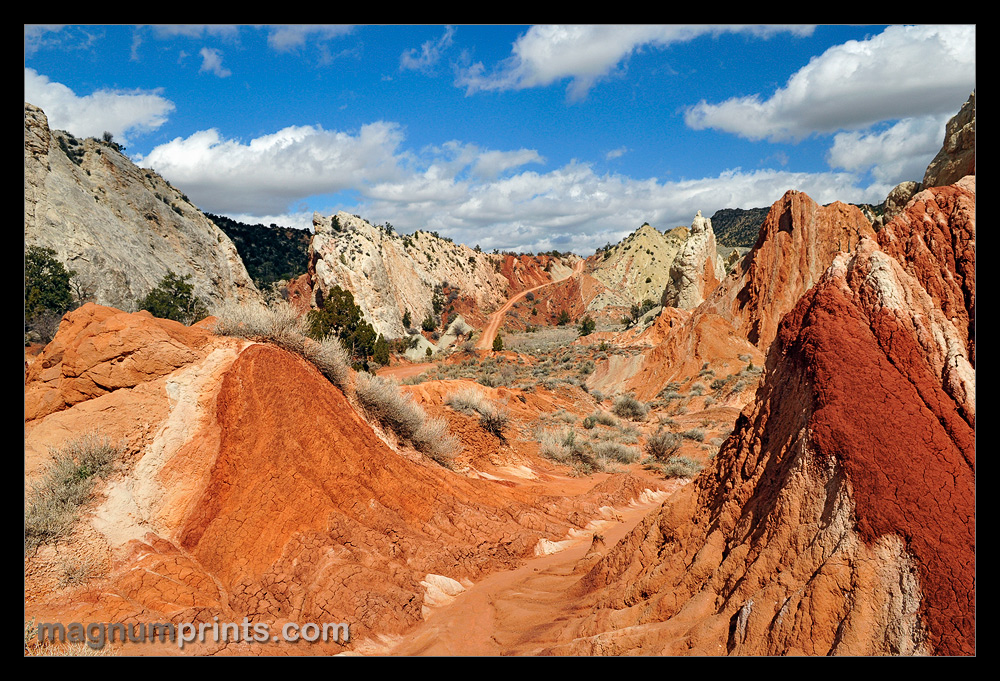 ..:: COTTONWOOD ROAD ::..