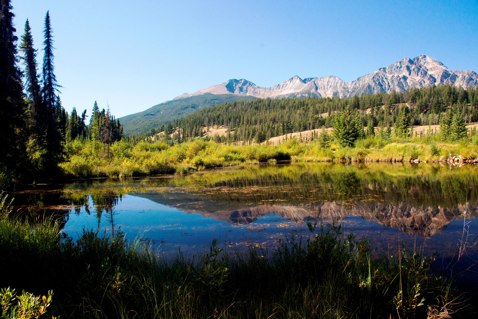 Cottonwood Slough