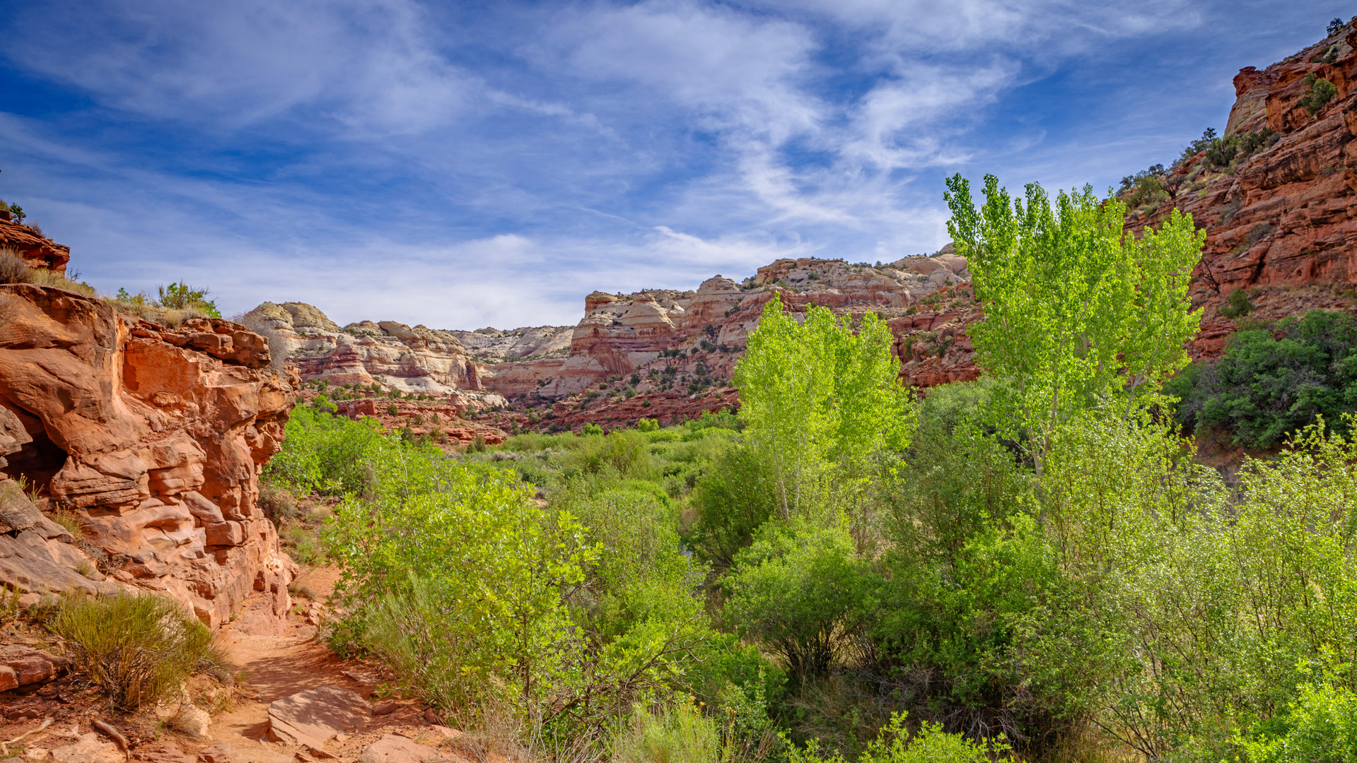 Cottonwood-Trekking