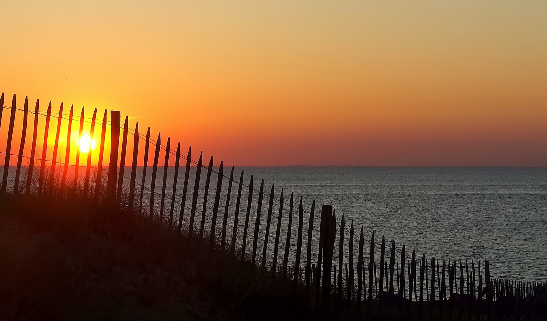 Couchant sur la baie