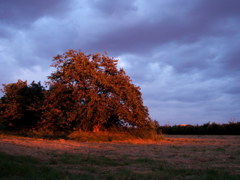 Couché de soleil .