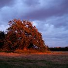 Couché de soleil .