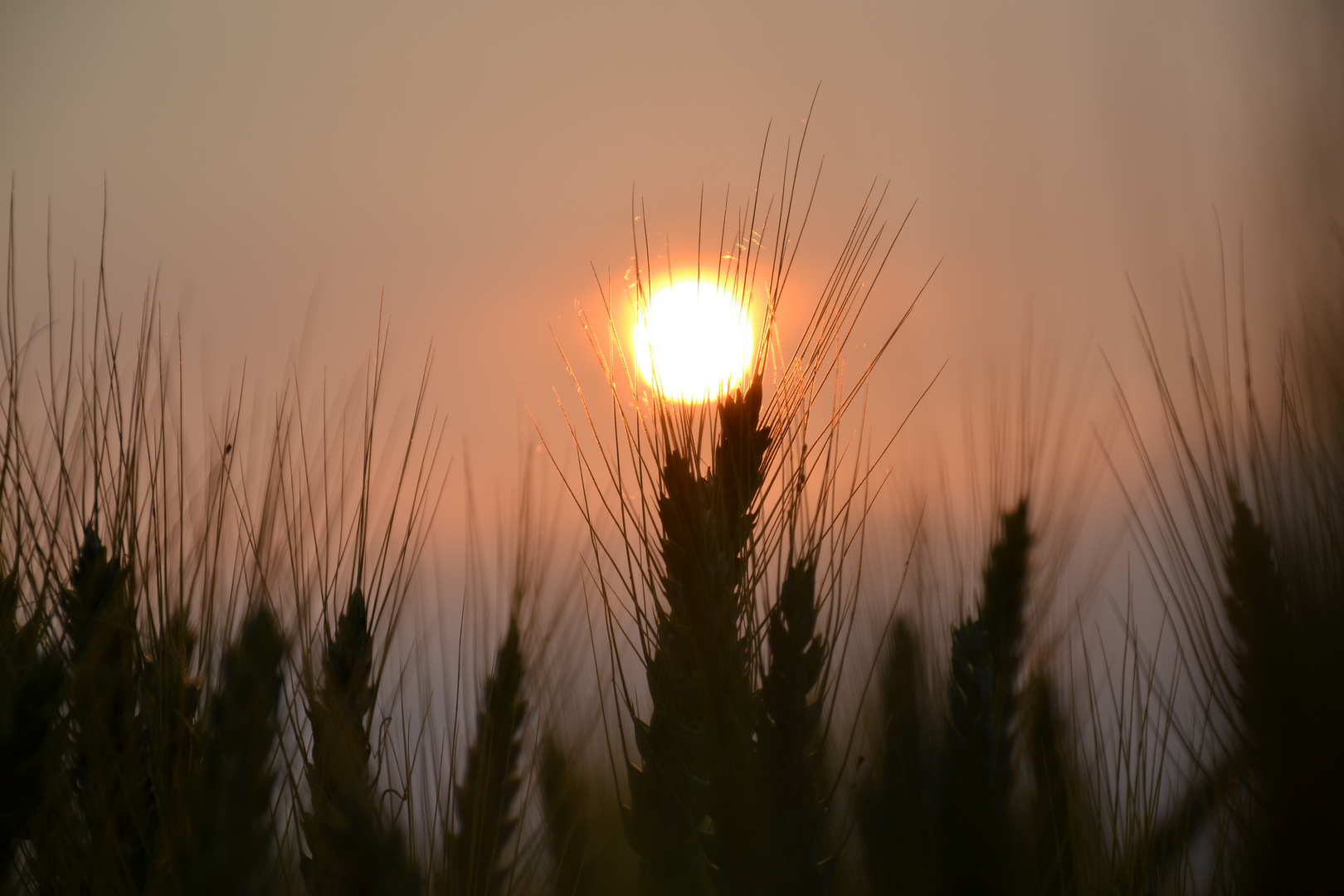 Couché de soleil