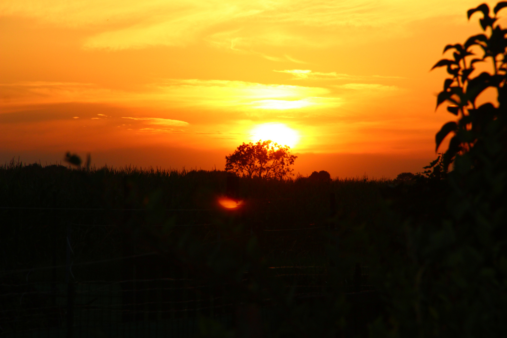 Couché de Soleil