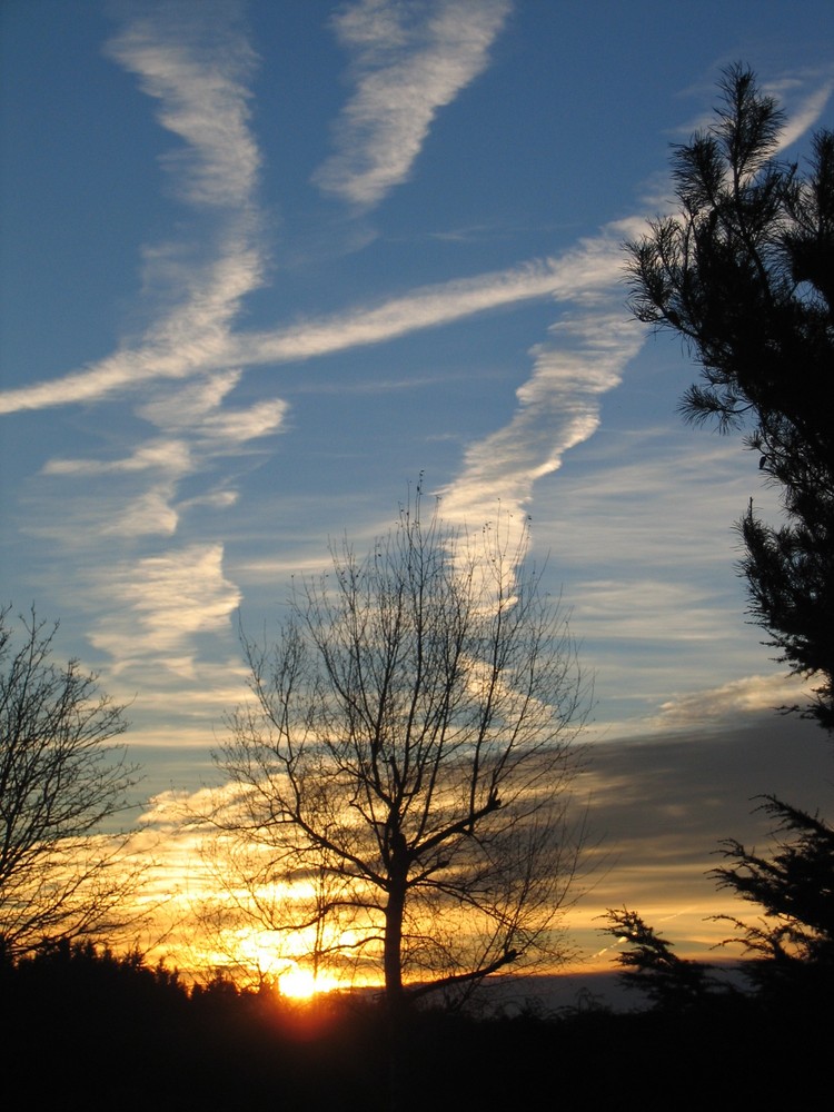 Couché de Soleil