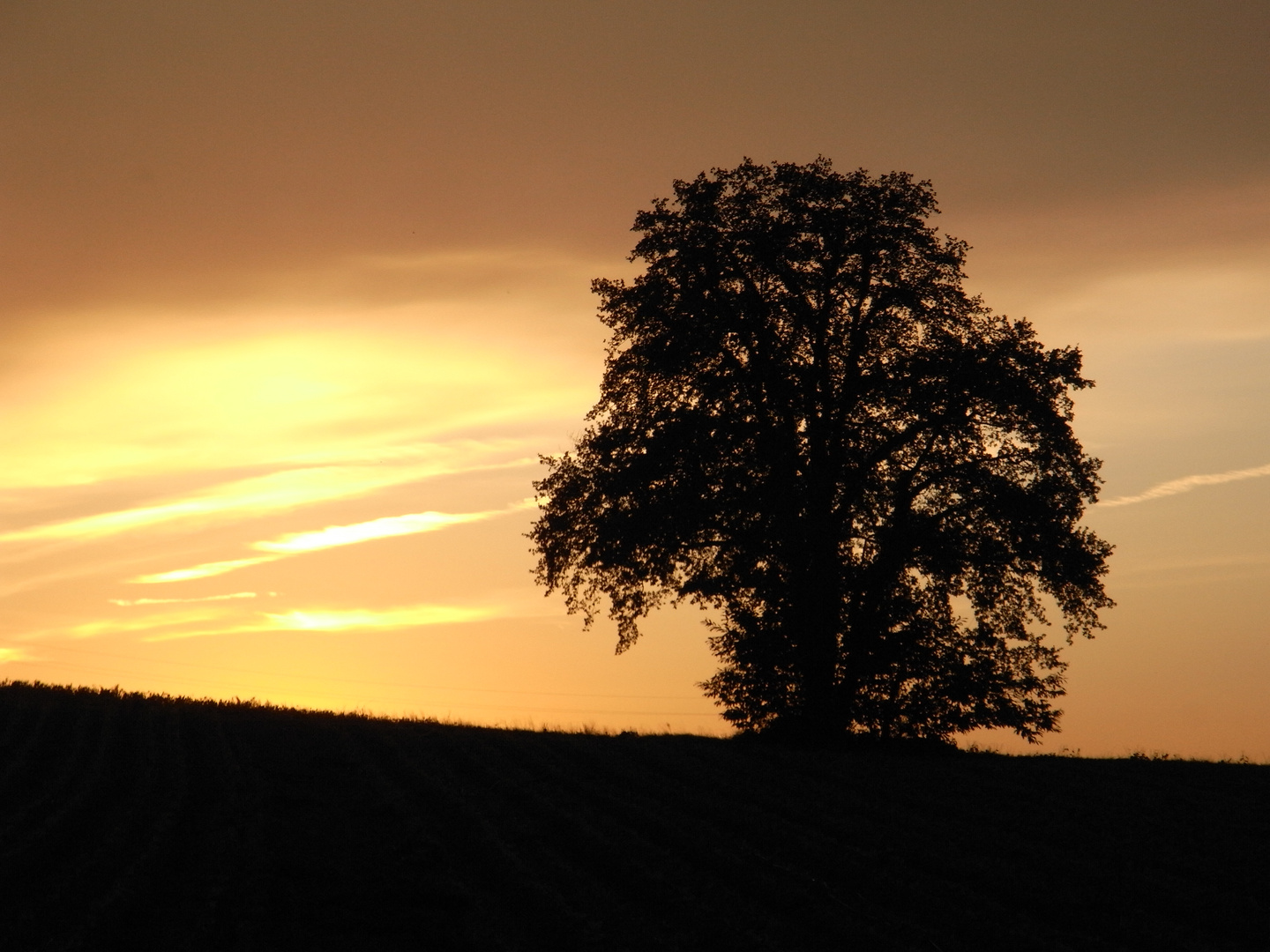 couche de soleil