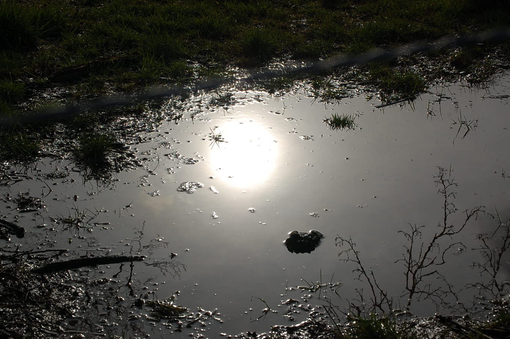 couché de soleil