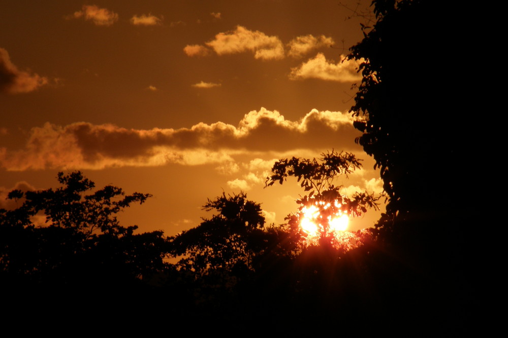 couché de soleil à punta cana(république dominicaine)