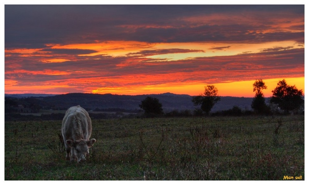 Couché de soleil automnal