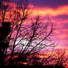 Couché de Soleil dans le bois en Hiver