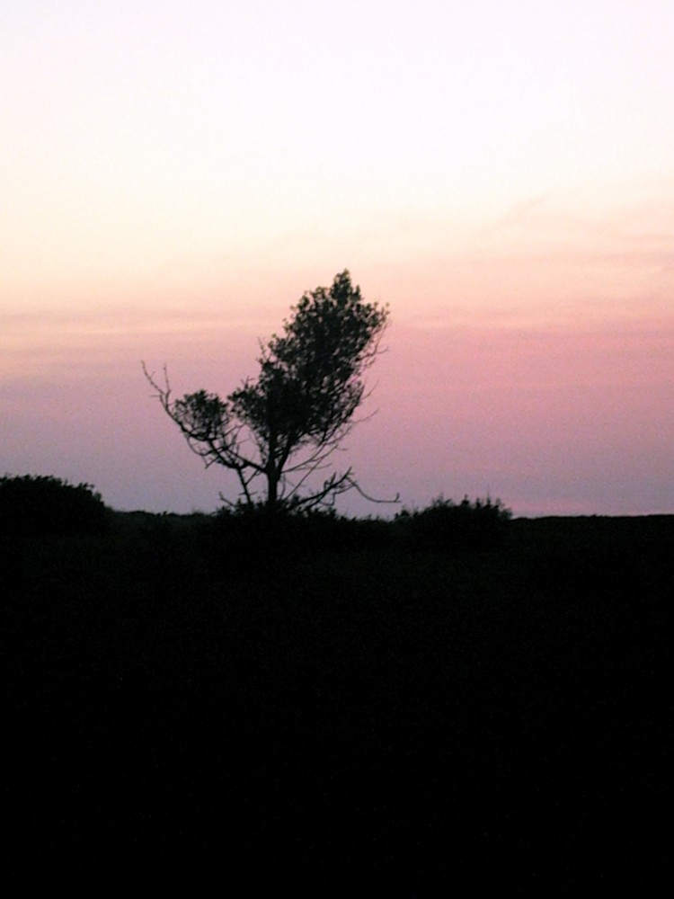 couché de soleil dans les dunes