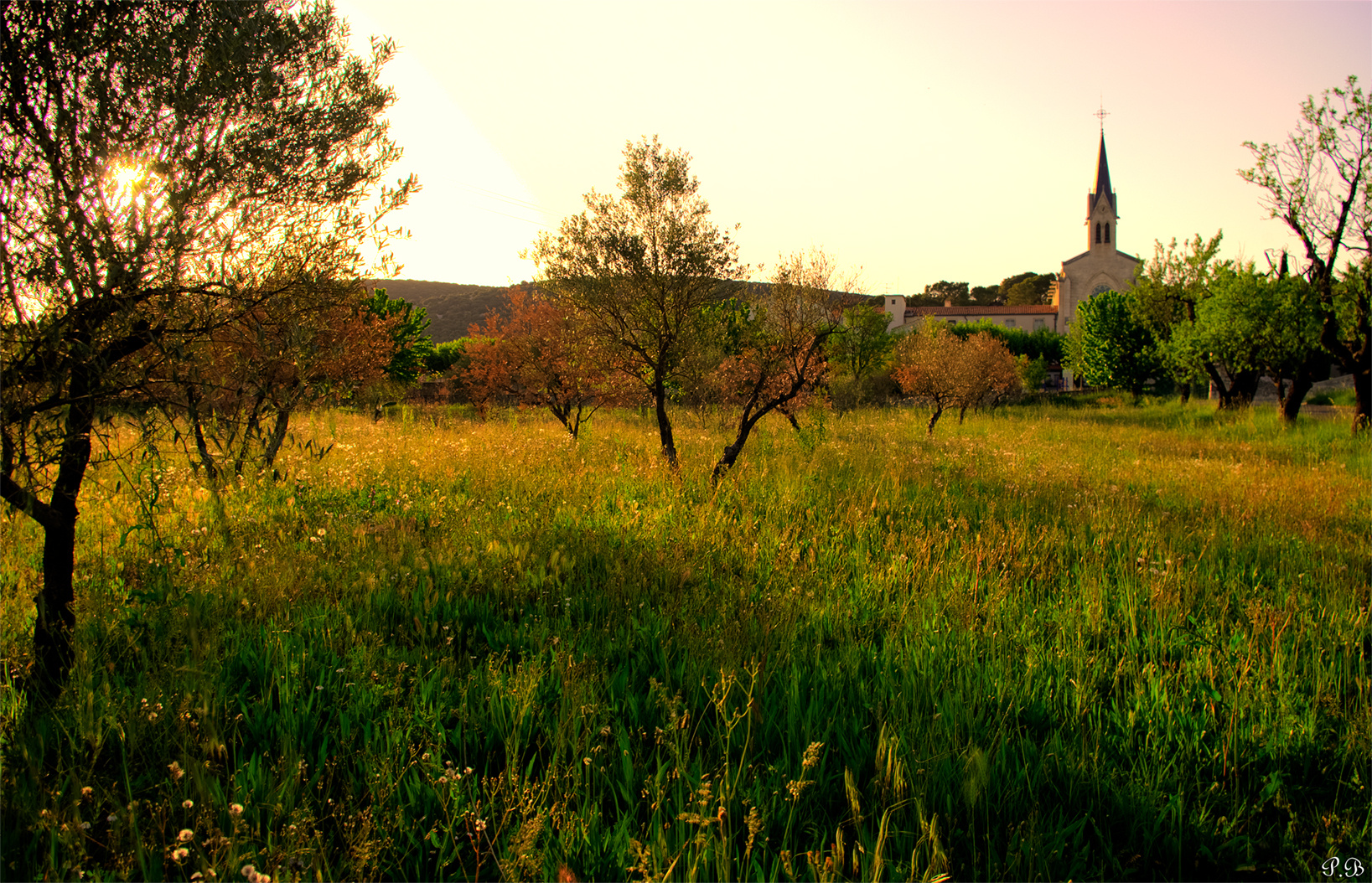 Couché de Soleil Derrière L'Eglise