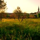 Couché de Soleil Derrière L'Eglise