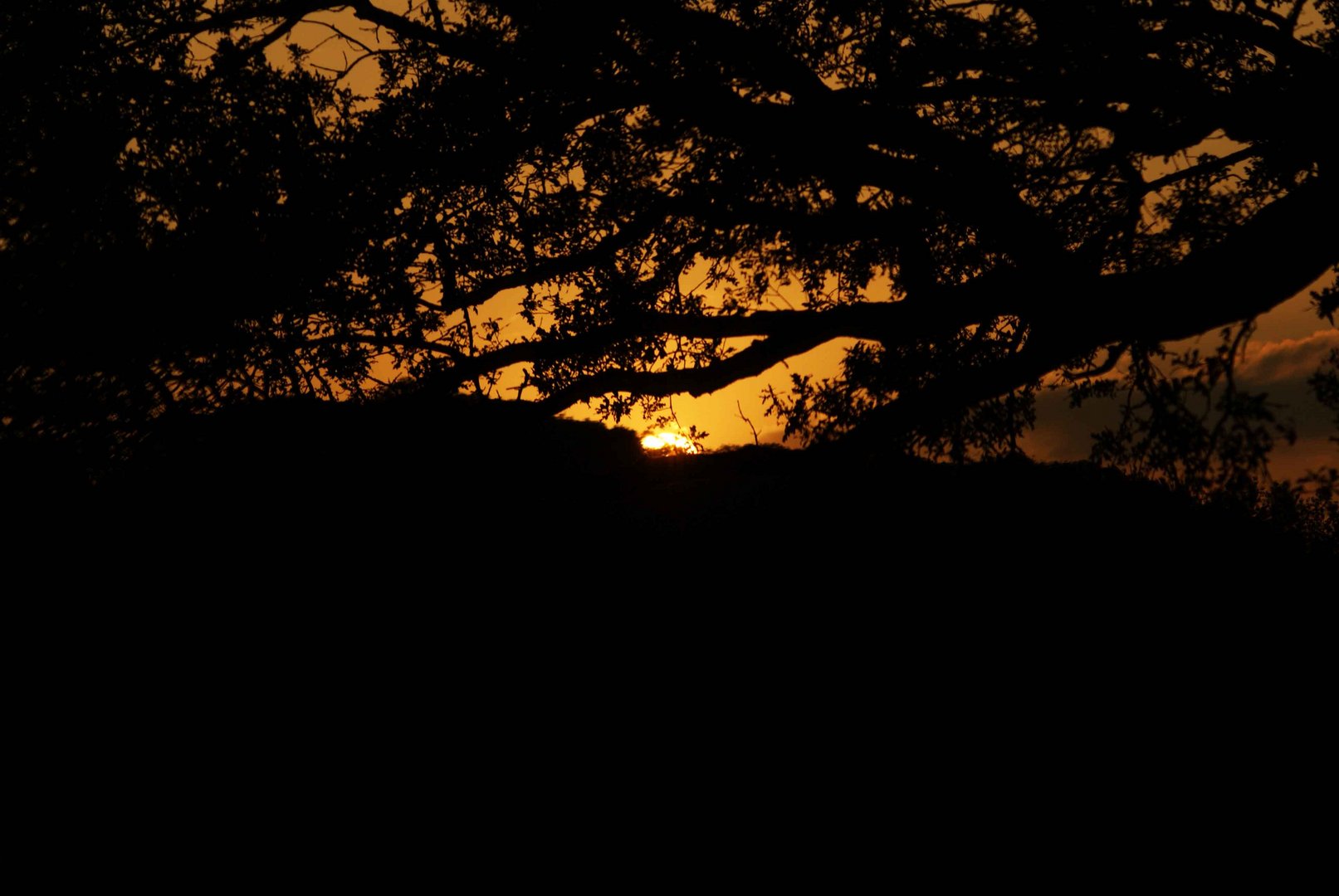 Couché de soleil ds mon petit Bourg