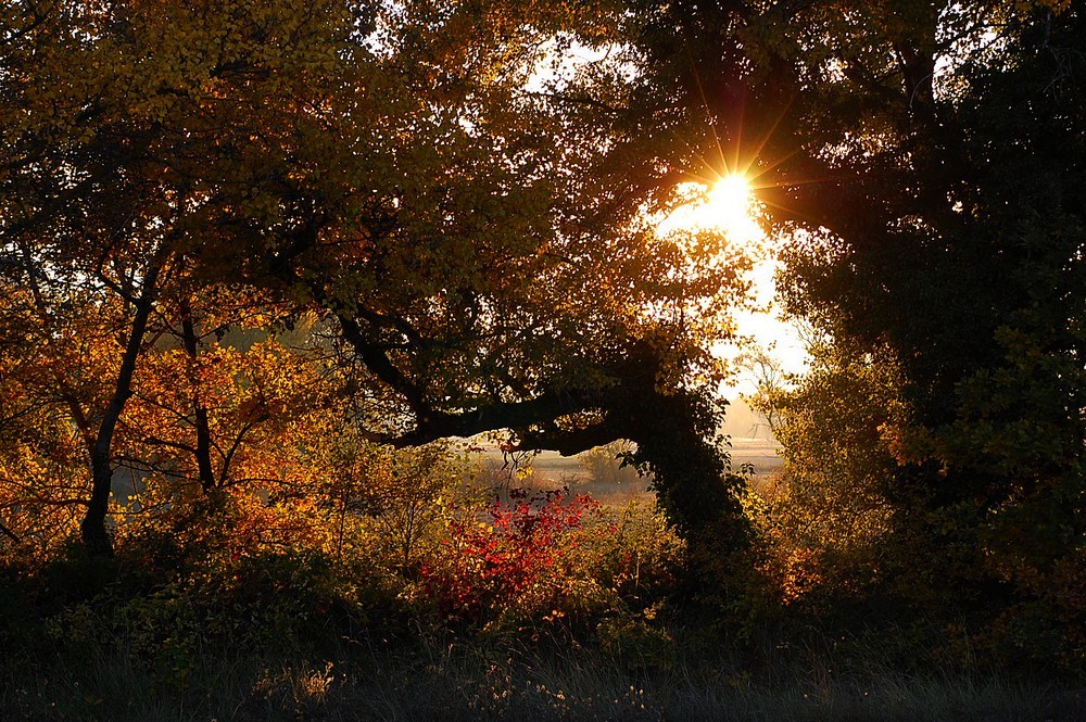 couché de soleil