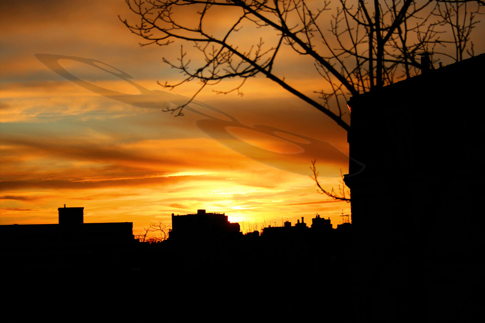 couché de soleil en ville