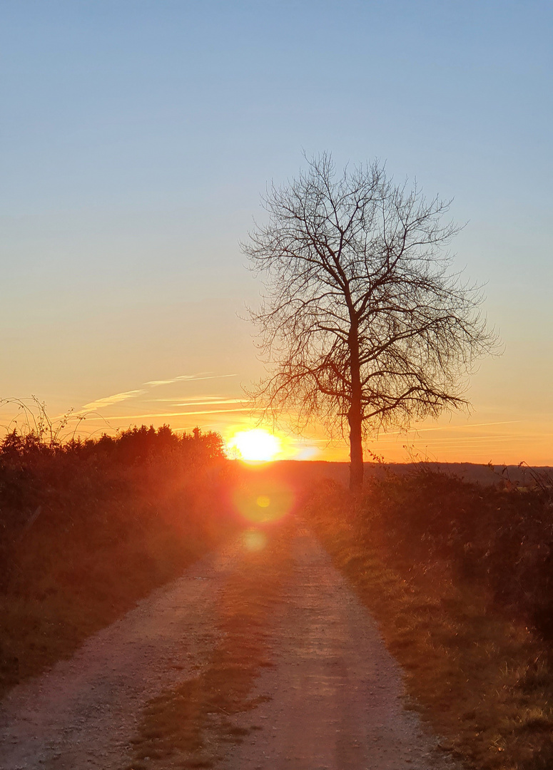 Couché de soleil 