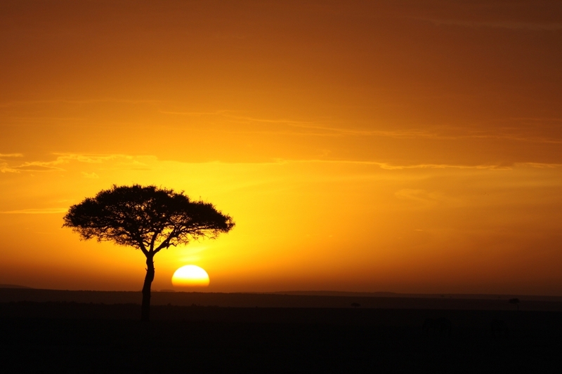 Couché De Soleil Masai Mara Kenya Photo Et Image