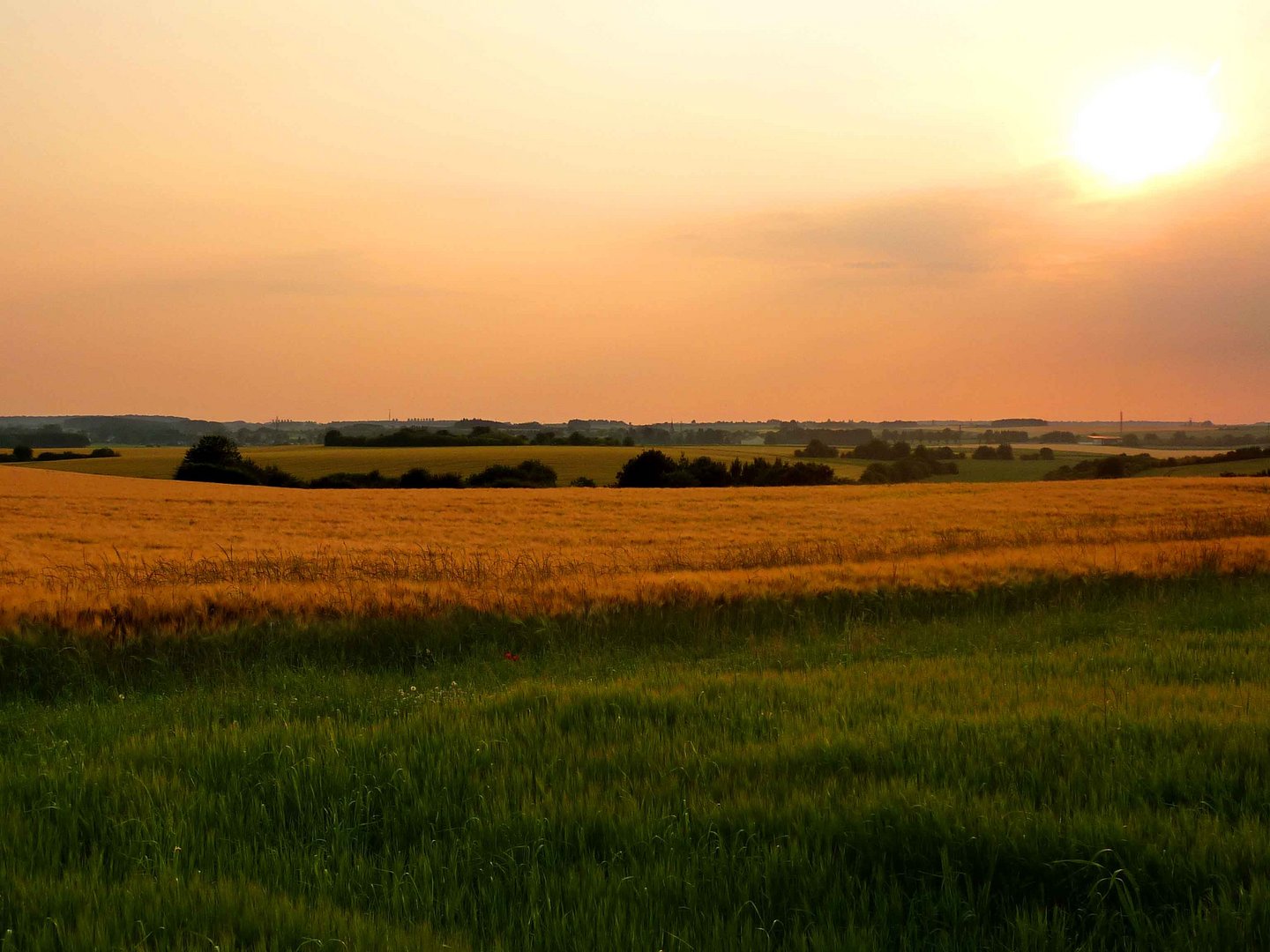 Couché de soleil paysage