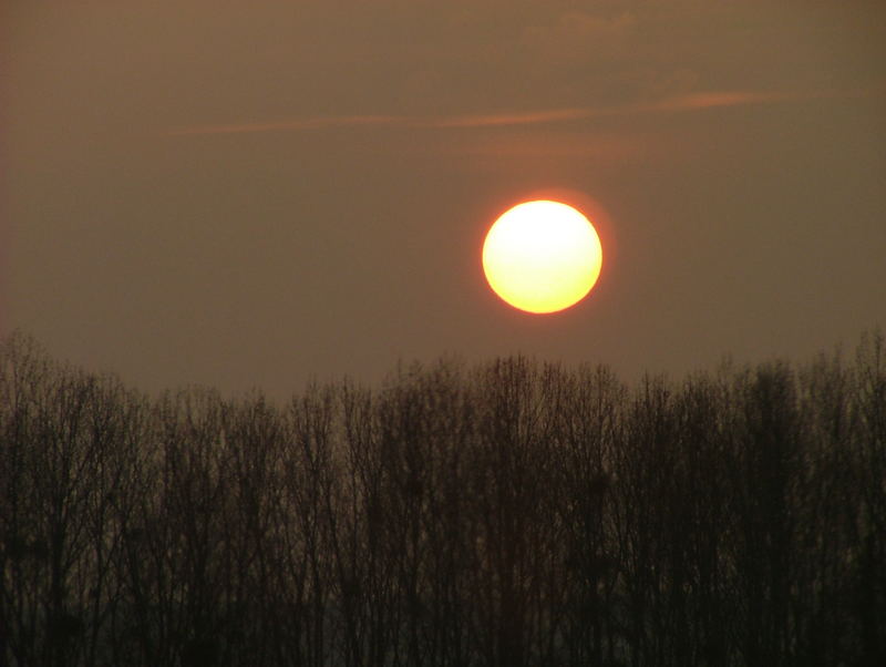 couché de soleil sur le bois endormi