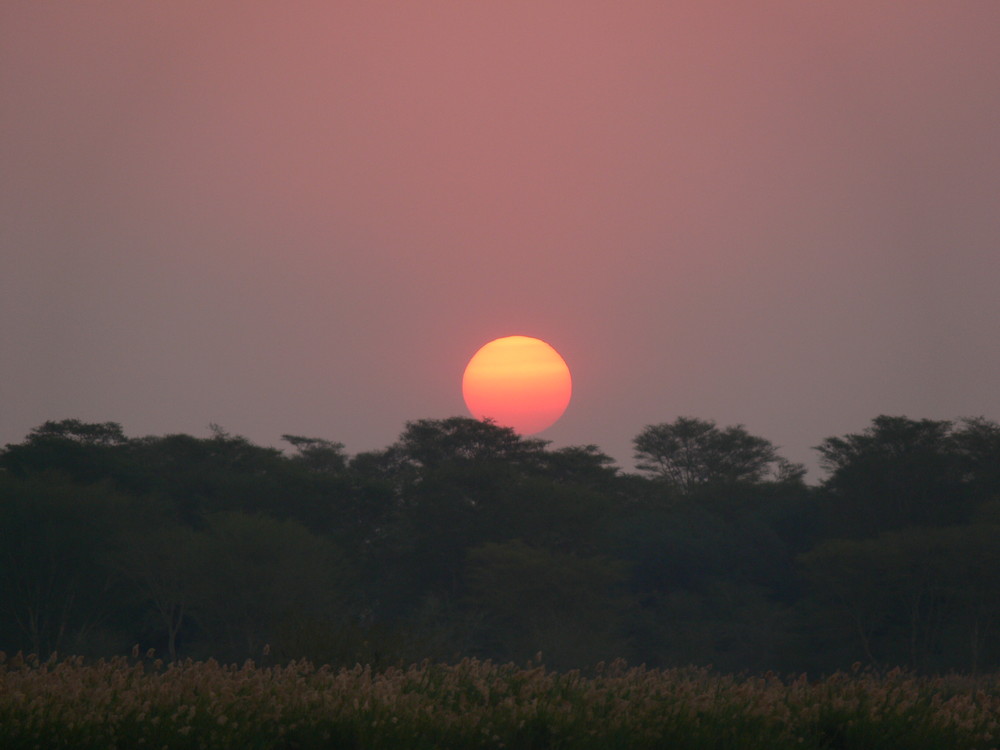 couché de soleil sur le serengeti