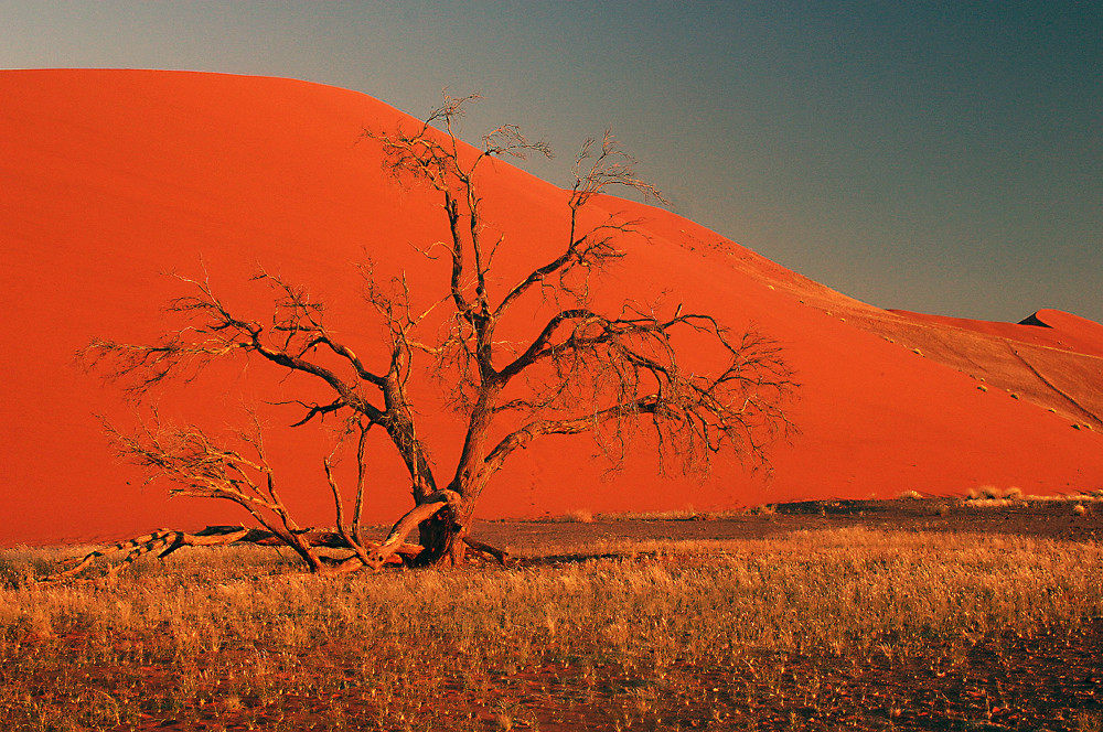 couché de soleil sur les dunes du désert du Namib