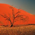 couché de soleil sur les dunes du désert du Namib