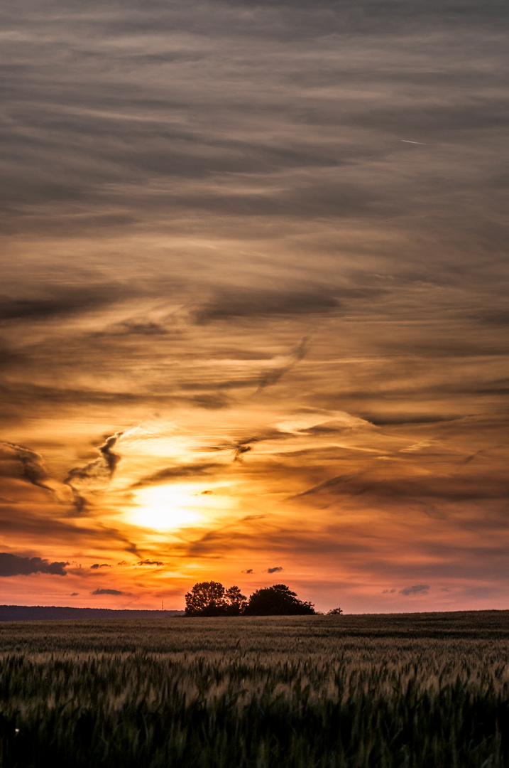 Couché de soleil sur les hauteurs de Bliesbruck, Moselle, France