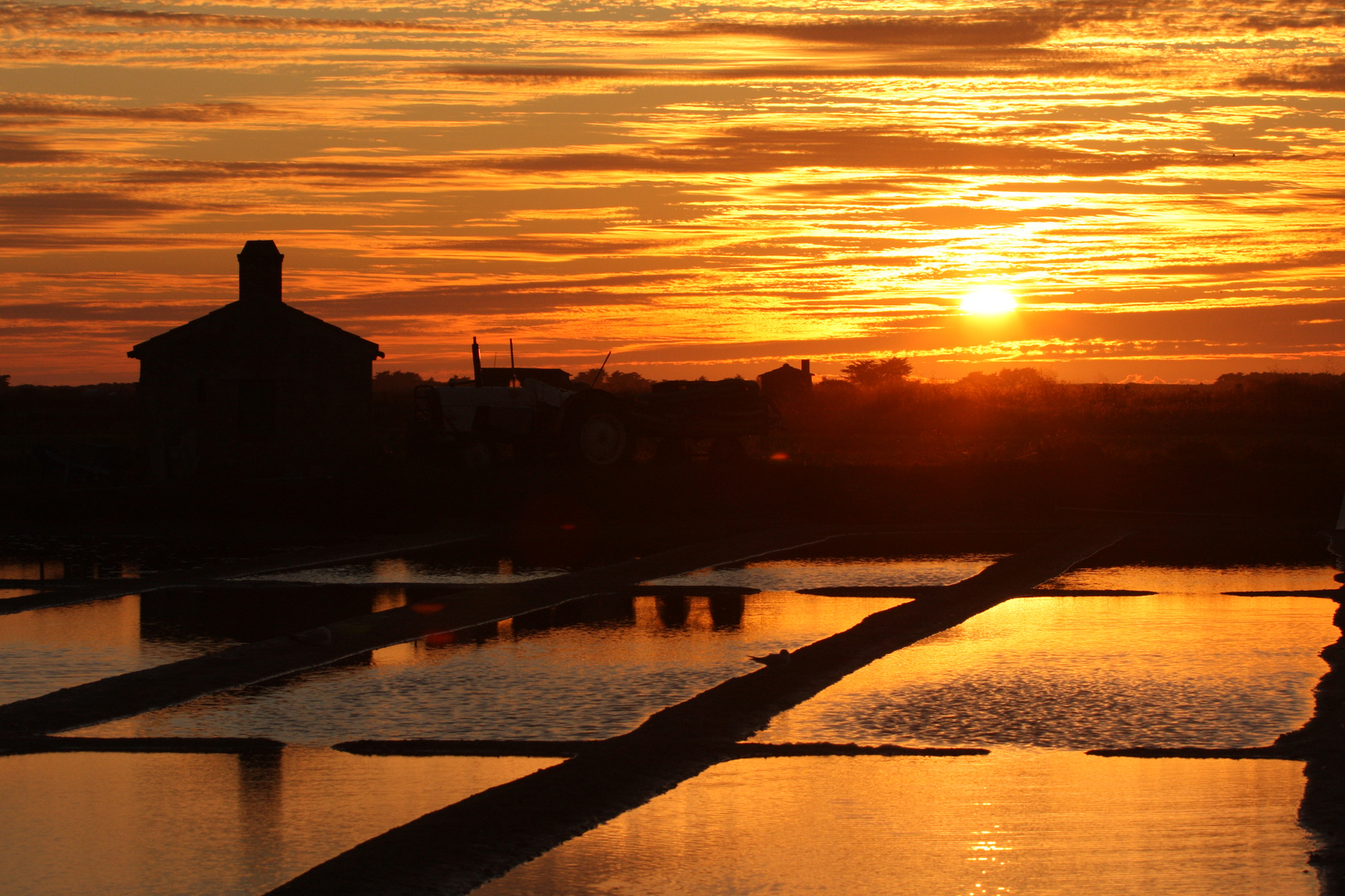 couché de soleil sur les marais