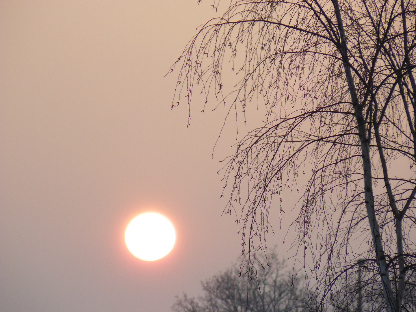 Couché du soleil un soir d'hiver