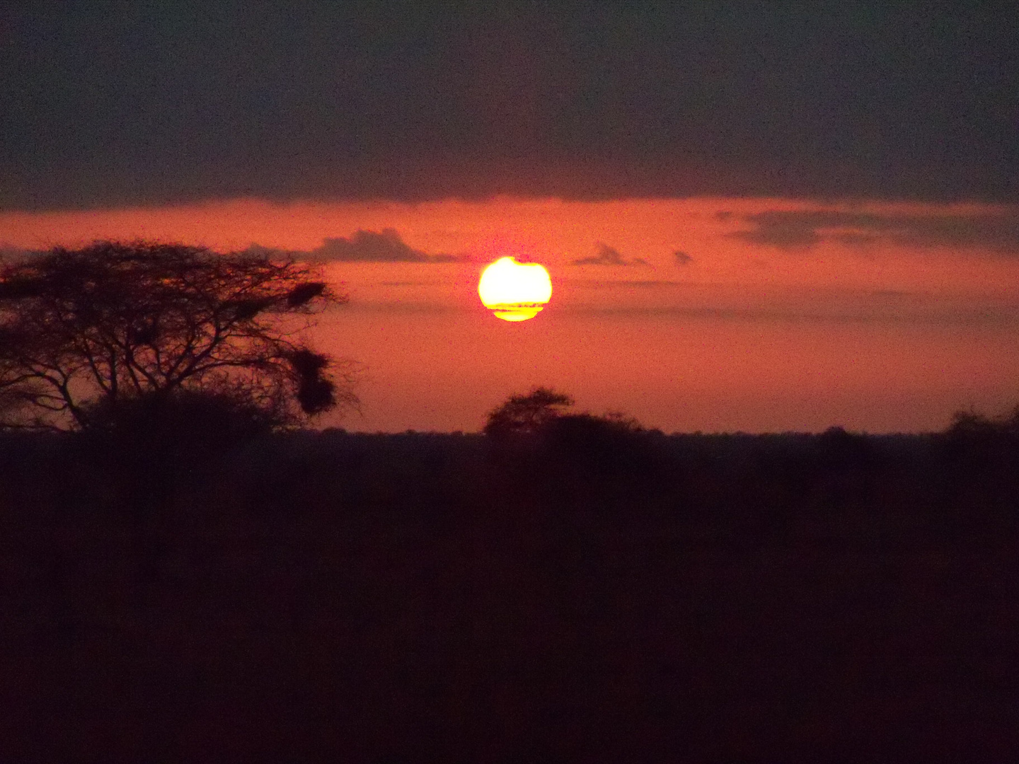 couchée de soleil aun kenya