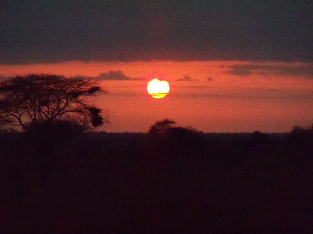 couchée de soleil aun kenya de dragonne 