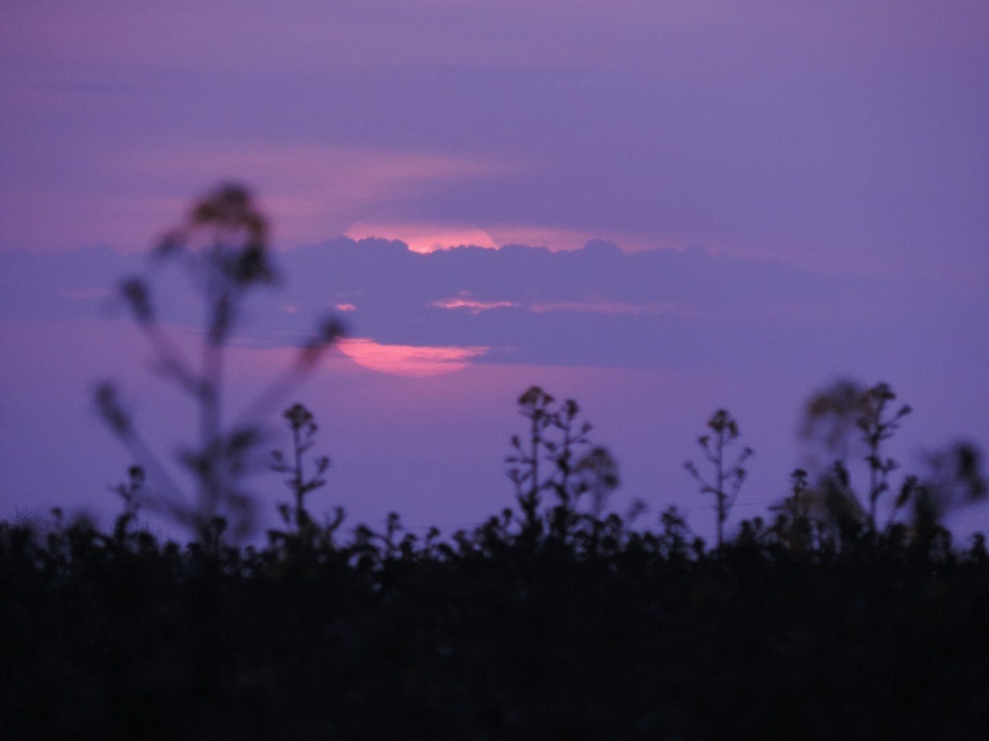 coucher de soleil