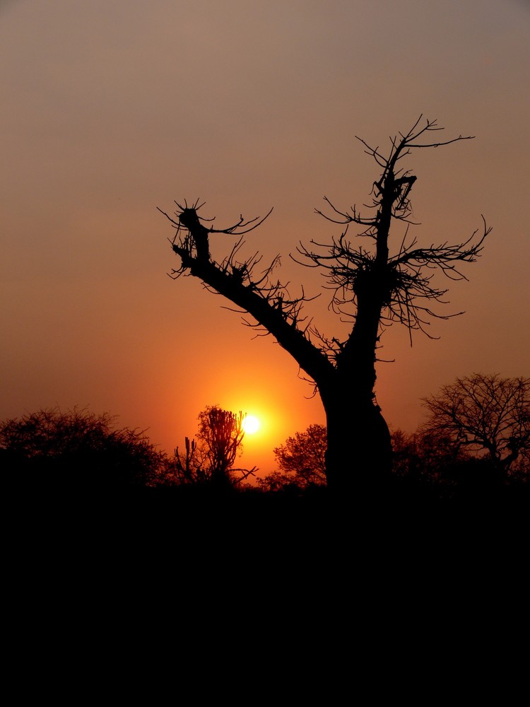 coucher de soleil