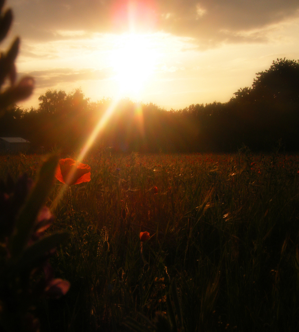 Coucher de soleil