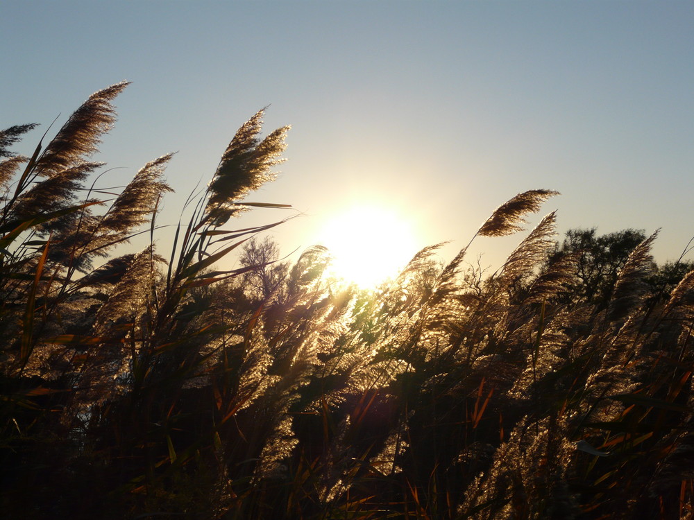 coucher de soleil