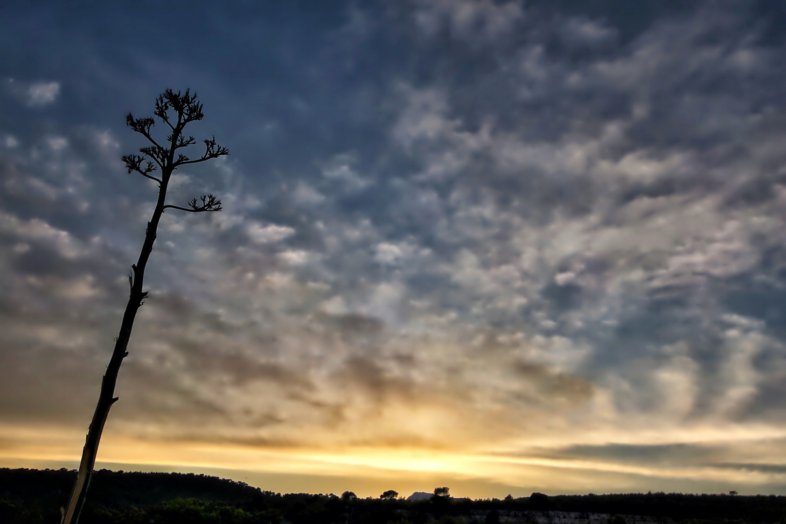 coucher de soleil