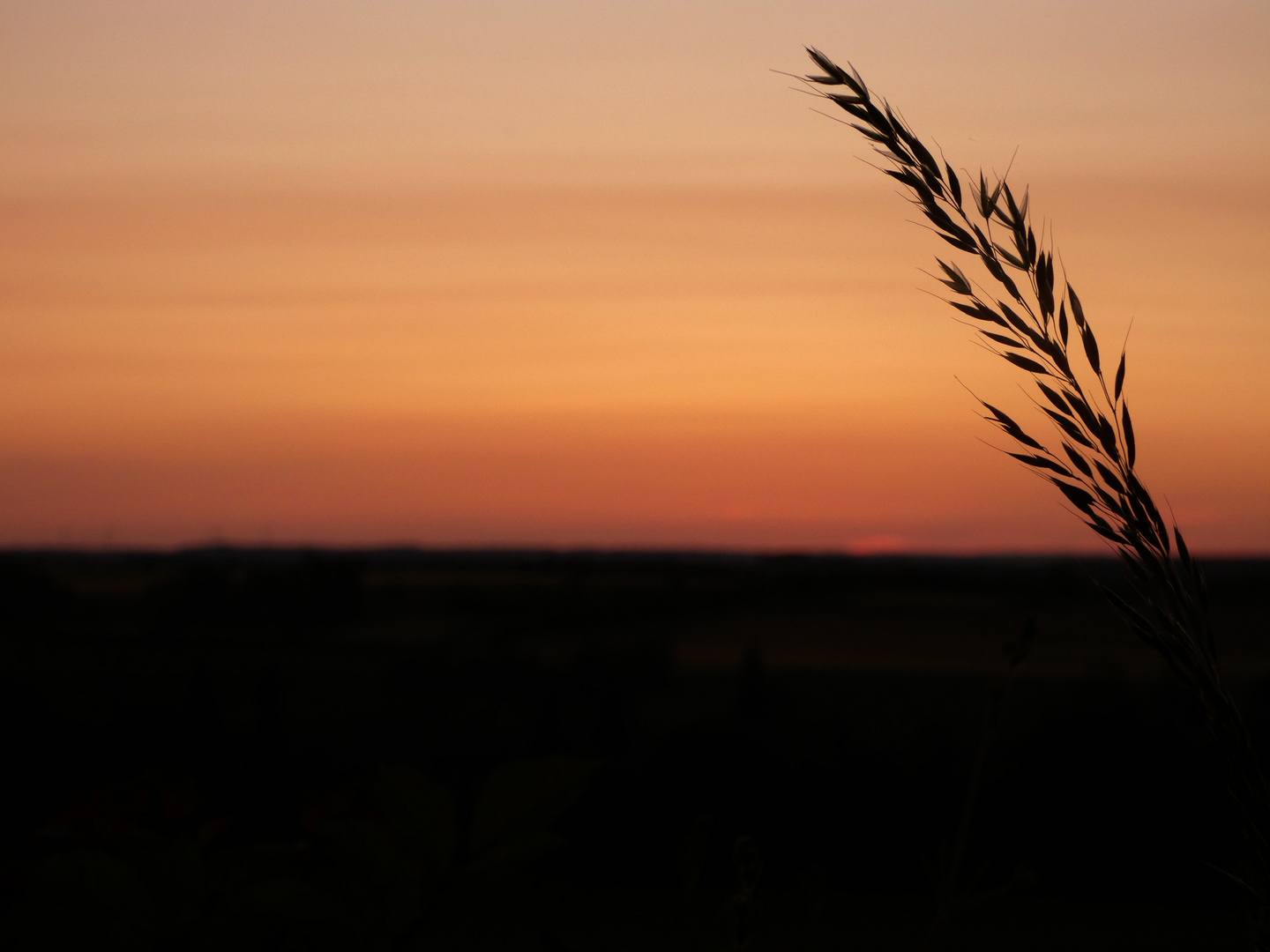 Coucher de soleil