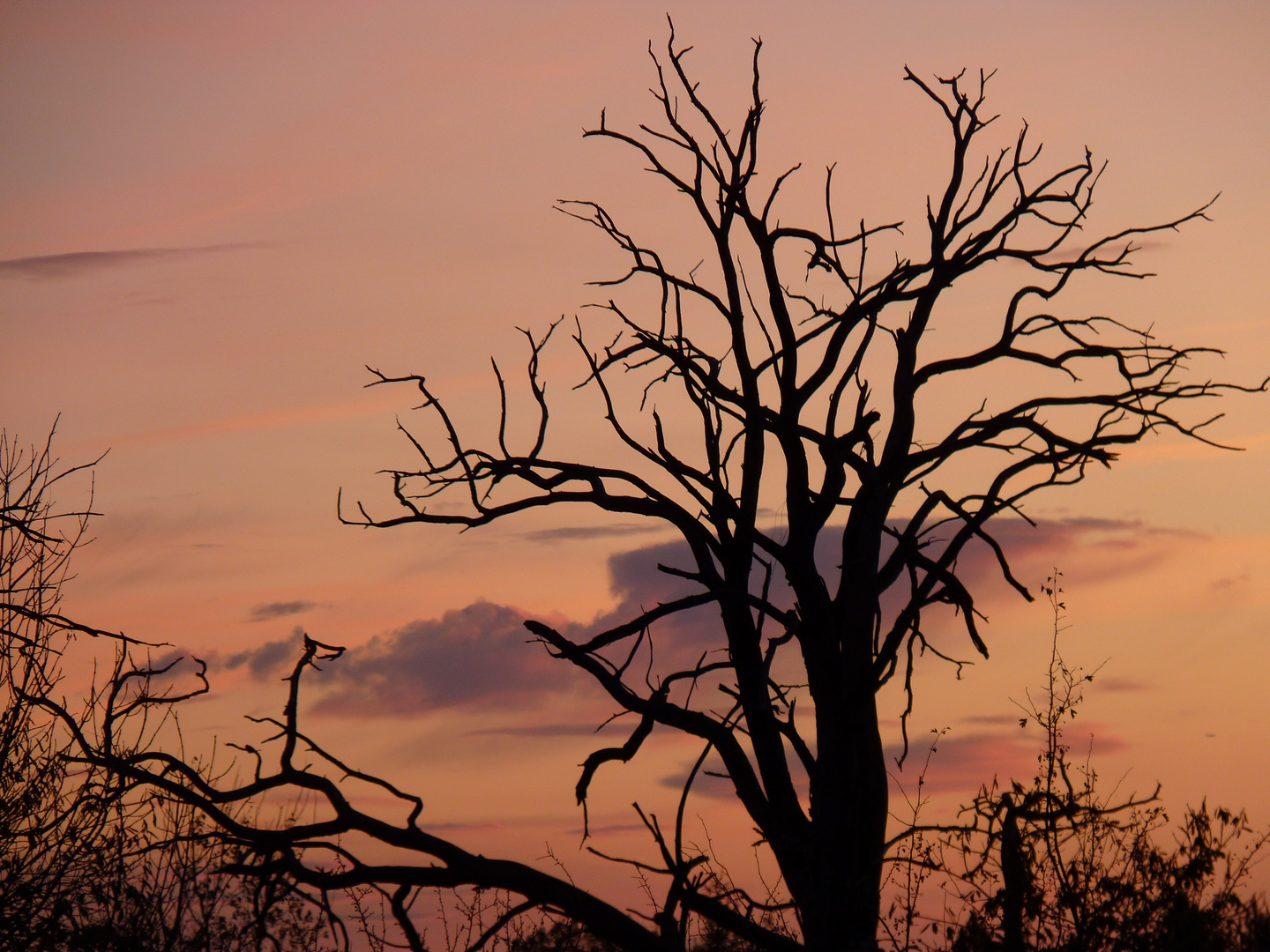 Coucher de soleil