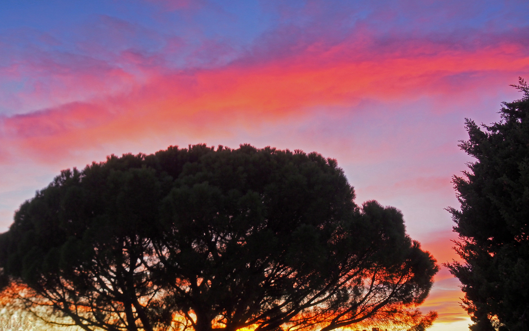  Coucher de soleil à Cimiez