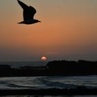 Coucher de soleil à Essaouira 