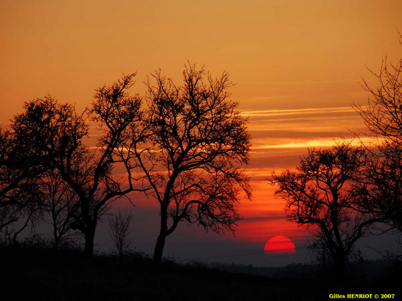 coucher de soleil à la campagne