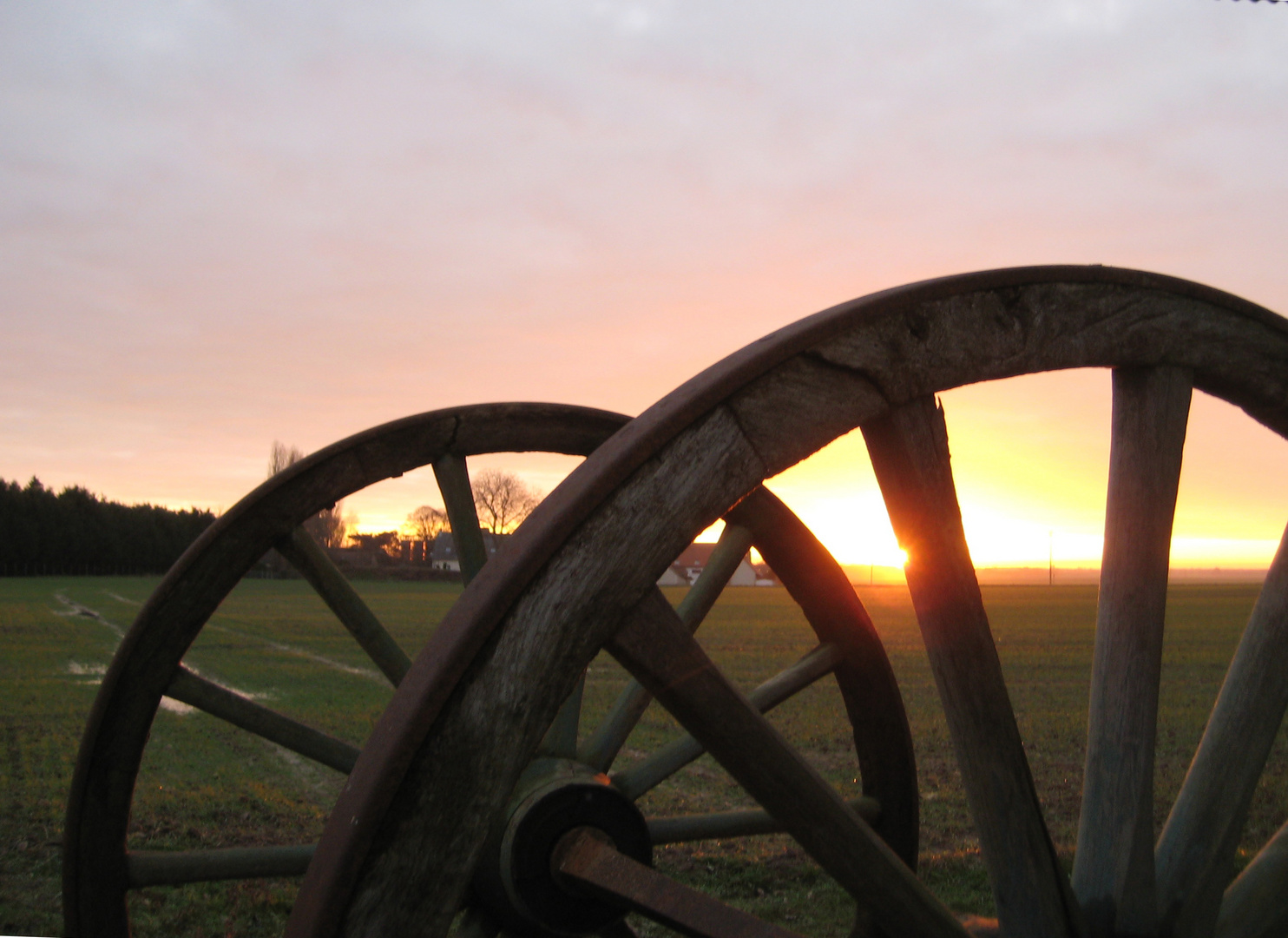 coucher de soleil à la ferme